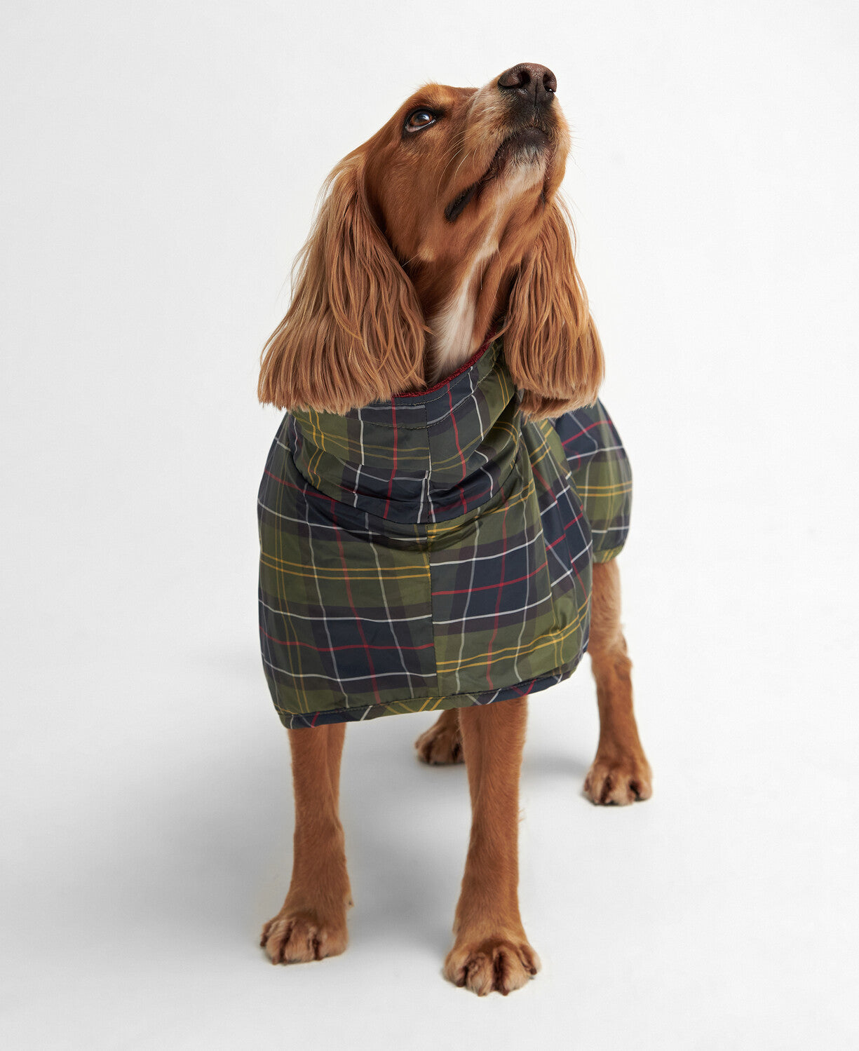 Barbour Tartan Dog Drying Robe-Dog Coats-Eland Lodge