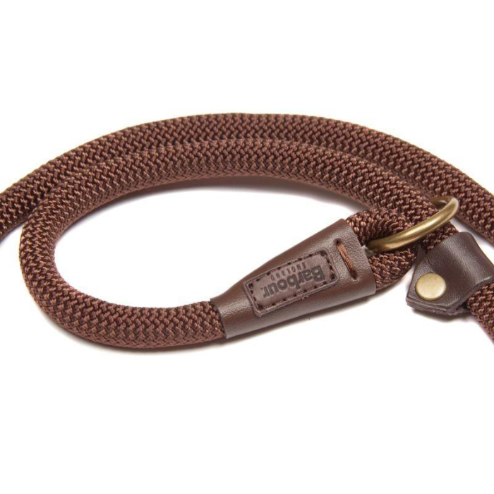 Brown braided dog leash with brass clip on a white background