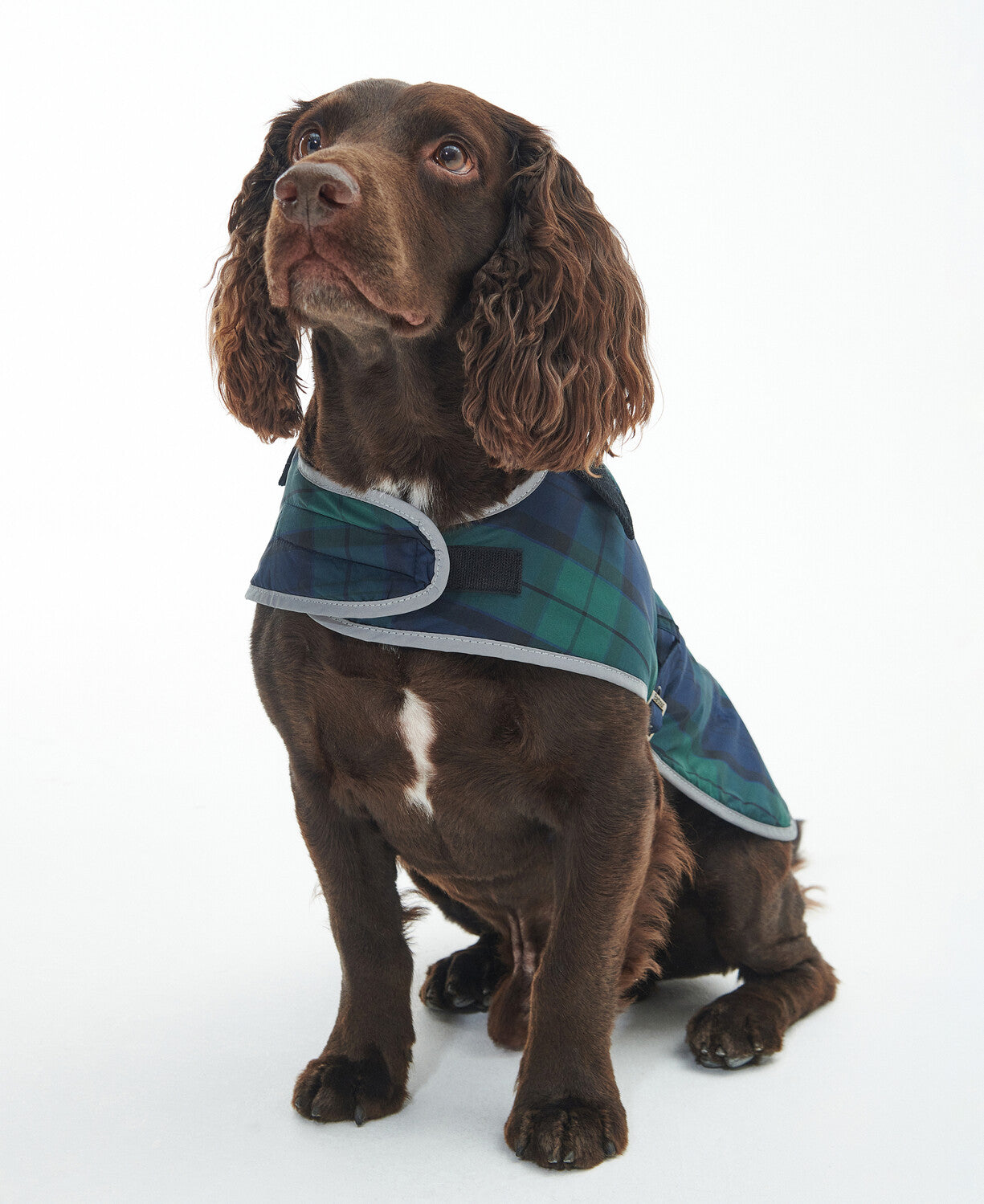 Barbour Wetherham Tartan Dog Coat-Dog Coats-Eland Lodge