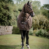 Horse wearing a brown Bucas rug in a grassy outdoor setting