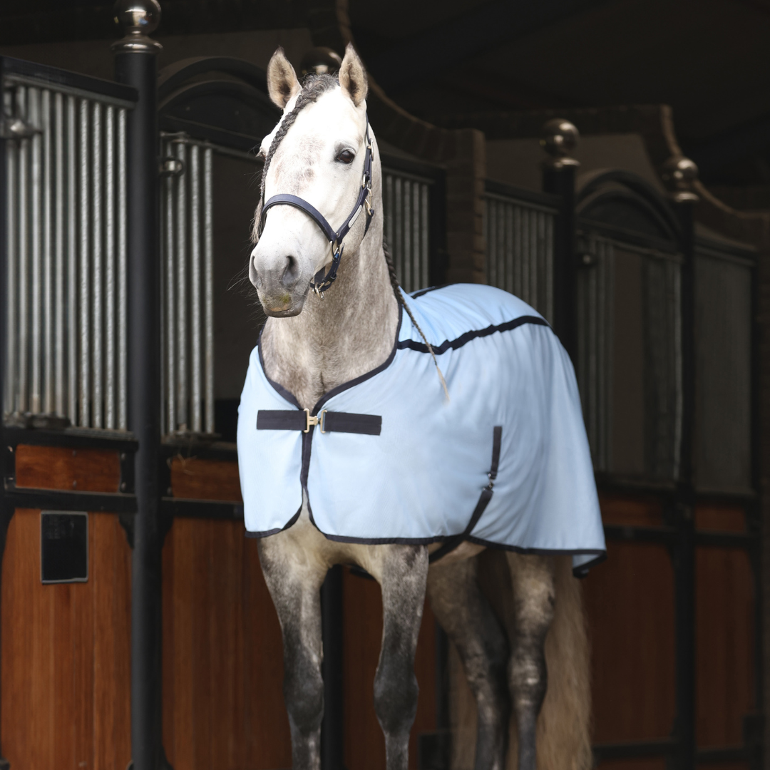 Equilibrium Quick Chill Cool Rug in Light Blue-Therapy Rugs-Eland Lodge
