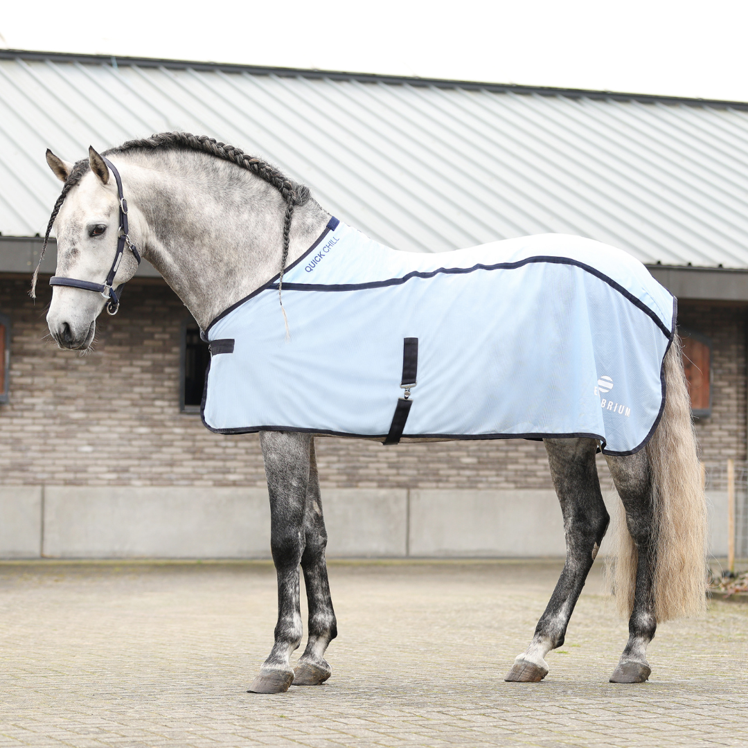 Equilibrium Quick Chill Cool Rug in Light Blue