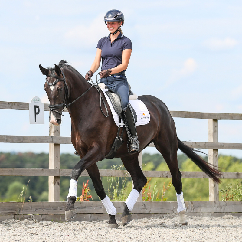 Equilibrium Stretch and Flex Flatwork Wraps-Stable, Exercise and Polo Bandages-Eland Lodge