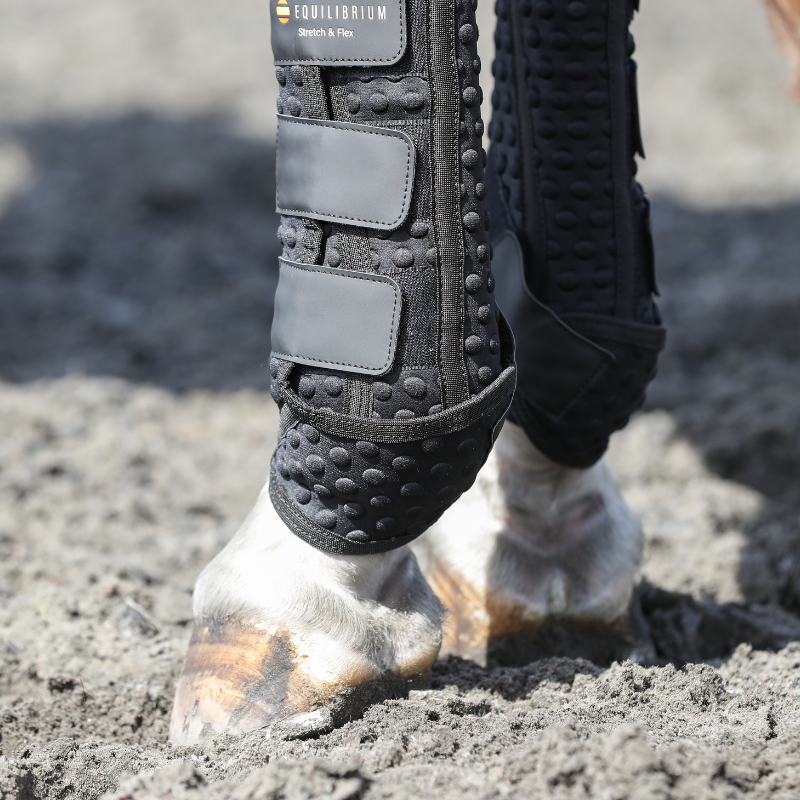 Equilibrium Stretch & Flex Training Wraps-Stable, Exercise and Polo Bandages-Eland Lodge