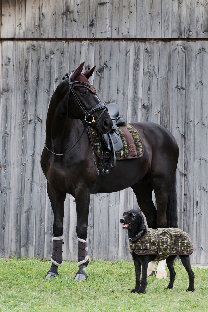 Eskadron Bouclé Dog Coat-Dog Coats-Eland Lodge