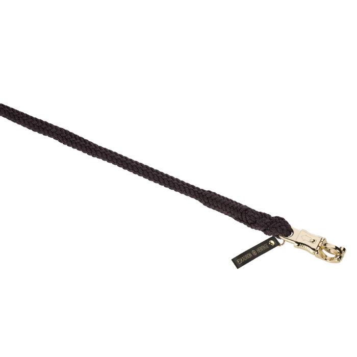 Brown horse lead with gold clasp on a white background