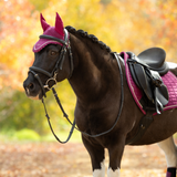 LeMieux AW26 Classic Fly Hood Variant Colour Blackberry.
A dark brown horse outdoors wearing a matching pink and black equestrian fly mask, bridle, saddle pad, and black saddle, with a blurred autumn forest background.