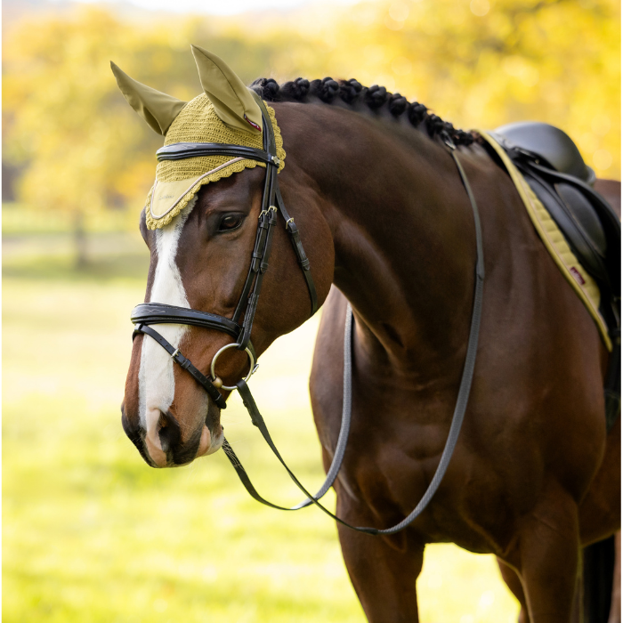 LeMieux AW26 Classic Fly Hood Variant Colour Gooseberry.
A brown horse wearing a black and tan bridle with a matching ear cover, standing outdoors in a grassy field with blurred yellow autumn trees in the background.