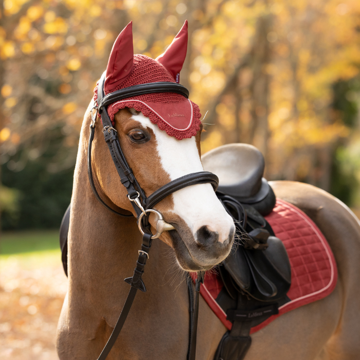 LeMieux AW26 Classic Fly Hood Variant Colour Russet.
A close-up of a brown and white horse outdoors wearing a red protective ear flap and red eye veil with black bridle and saddle details.