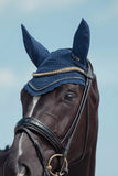 Eskadron Heritage Crystal Fly Hood
