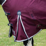 Close-up of a horse wearing a burgundy rug with brand labels on a grassy background