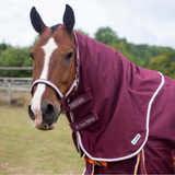 Horse wearing a burgundy rug with 'Trojan' branding in an outdoor setting.