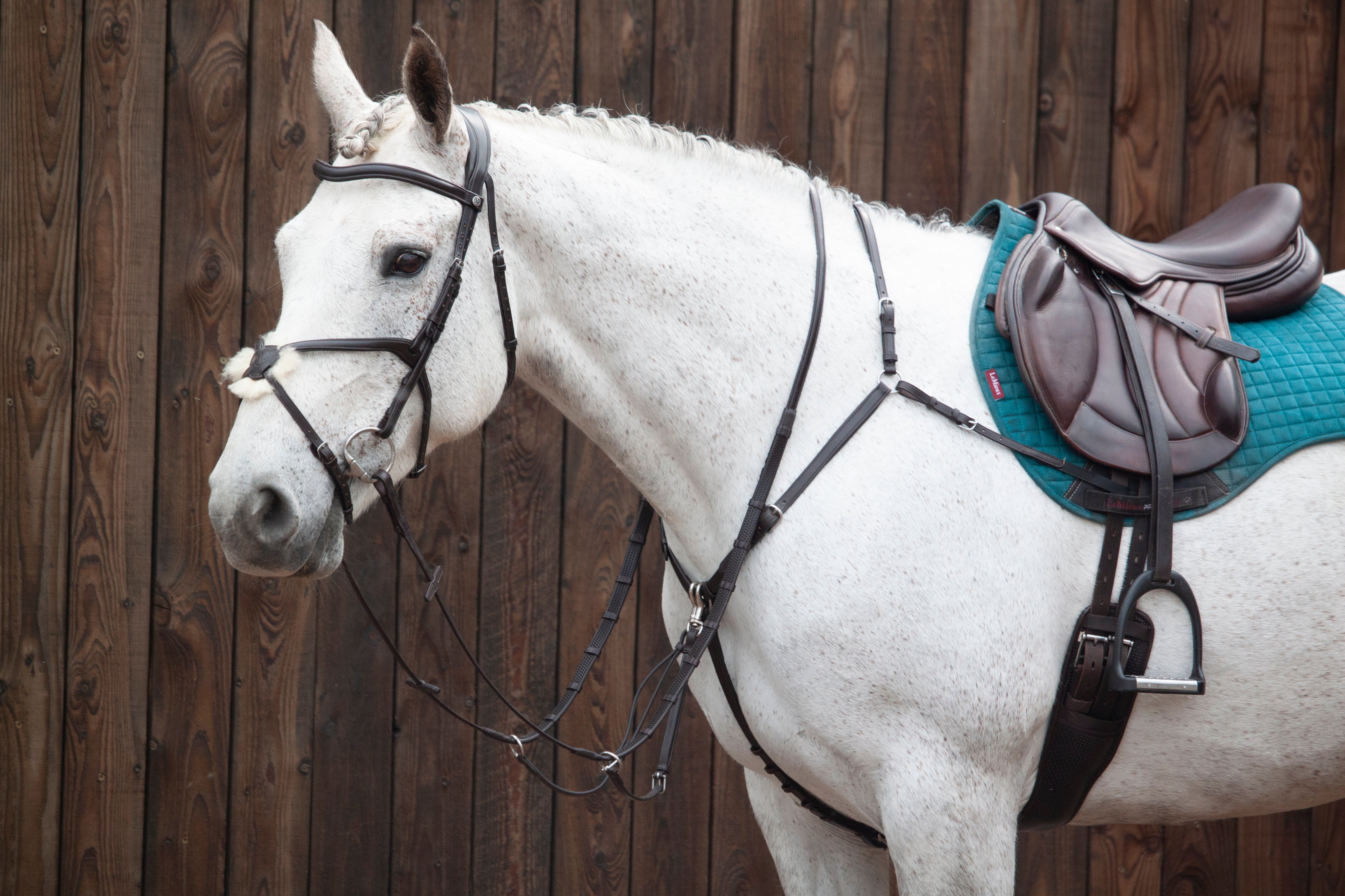 Henry James Saddlery Classic Adjustable Bridge Breastplate-Breastplates & Martingales-Eland Lodge