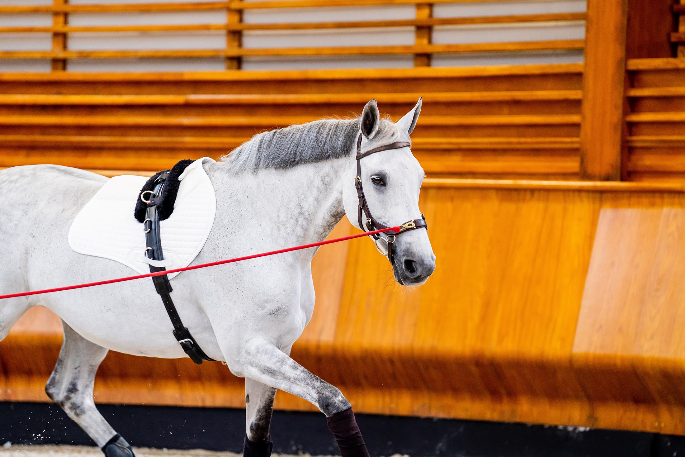 Horseware Micklem Multi Bridle-Bridles-Eland Lodge