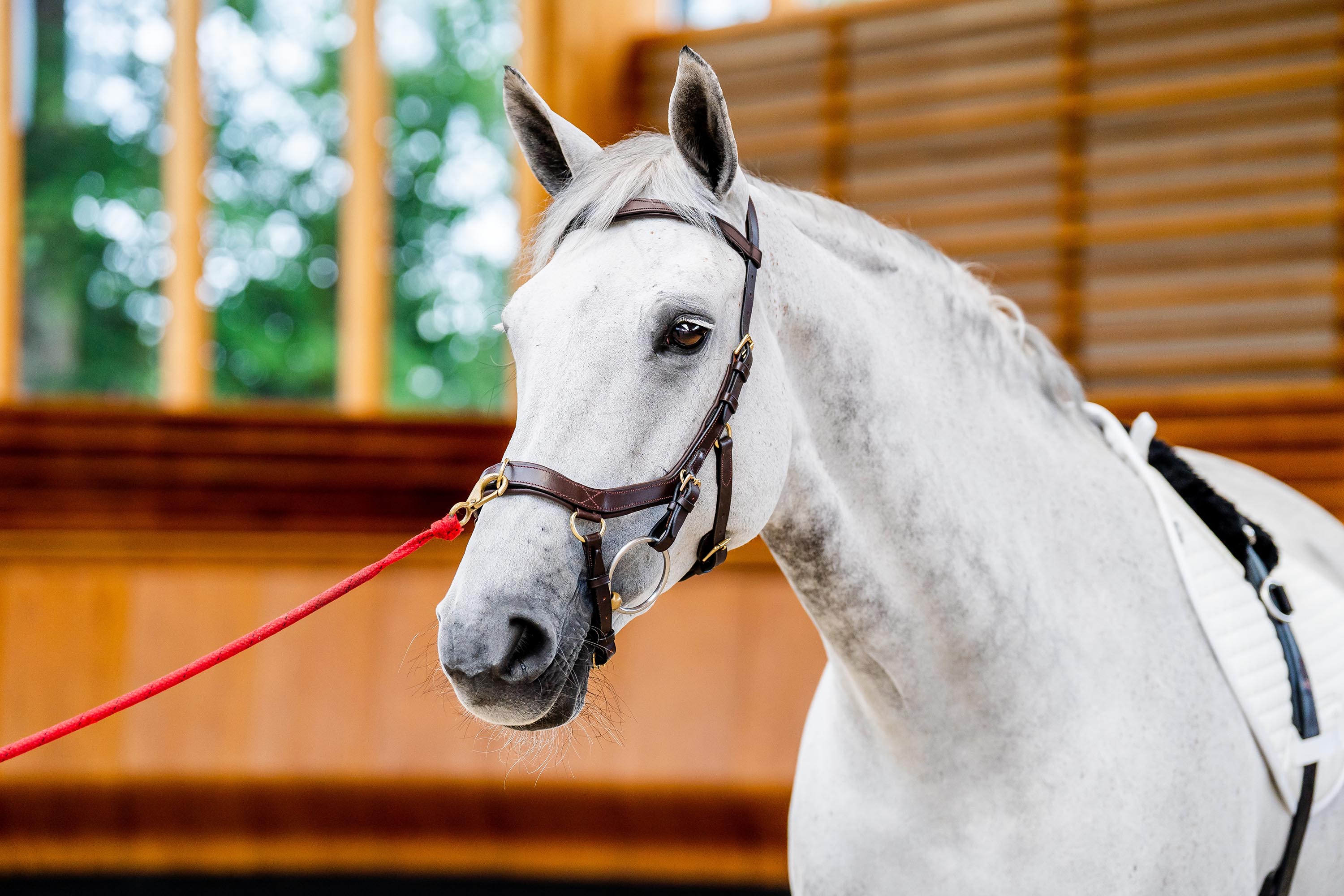 Horseware Micklem Multi Bridle-Bridles-Eland Lodge