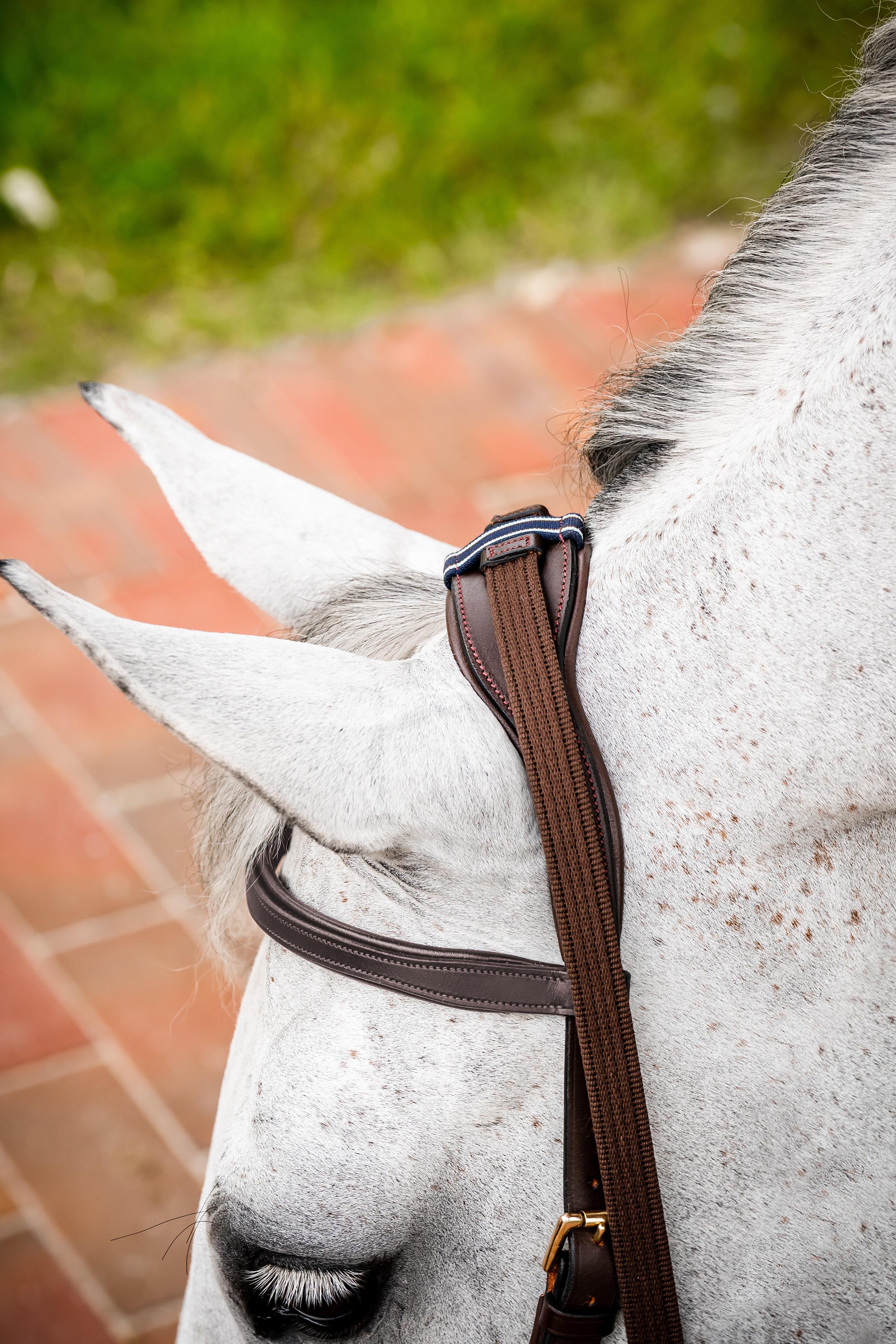Horseware Micklem Multi Bridle-Bridles-Eland Lodge