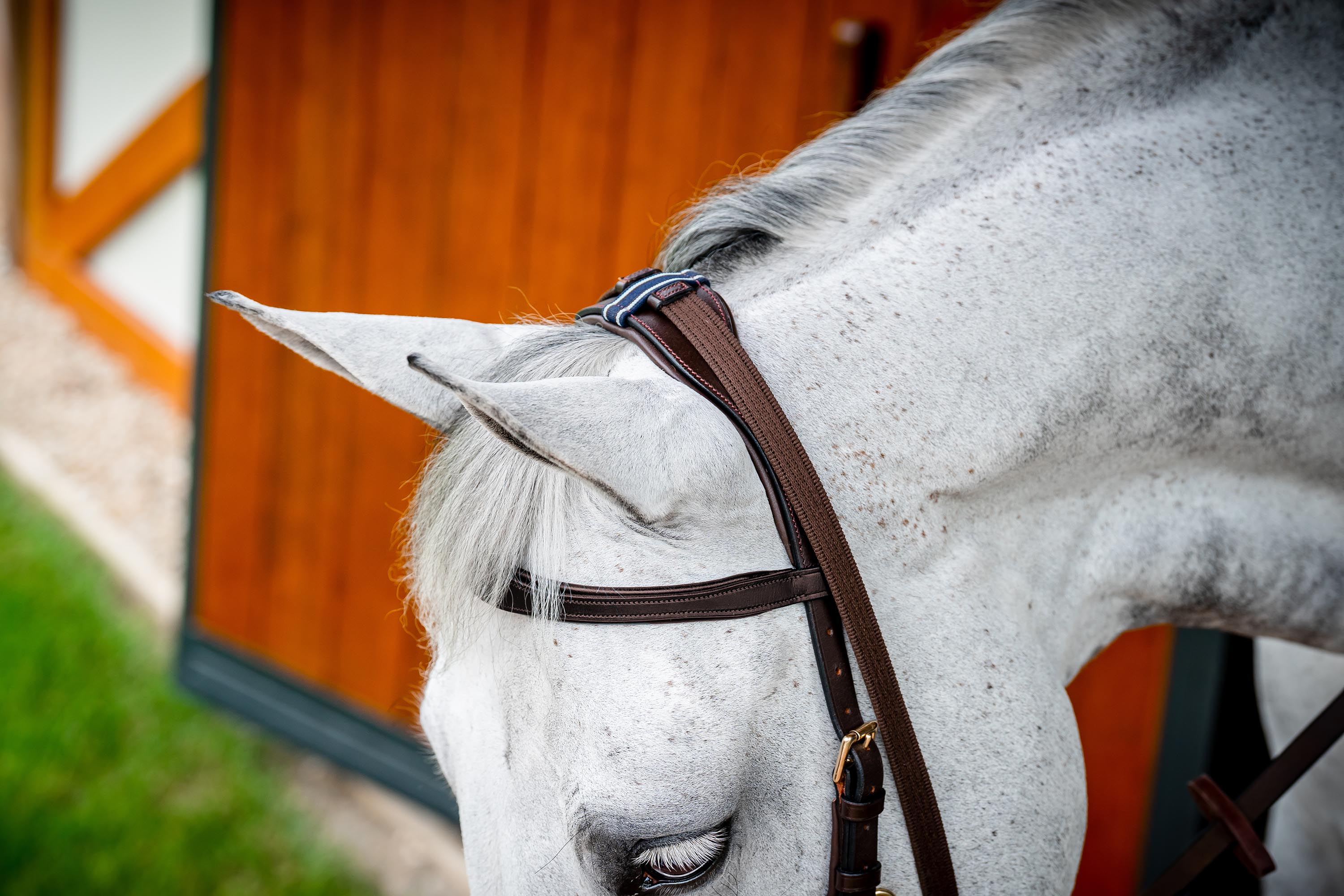 Horseware Micklem Multi Bridle-Bridles-Eland Lodge