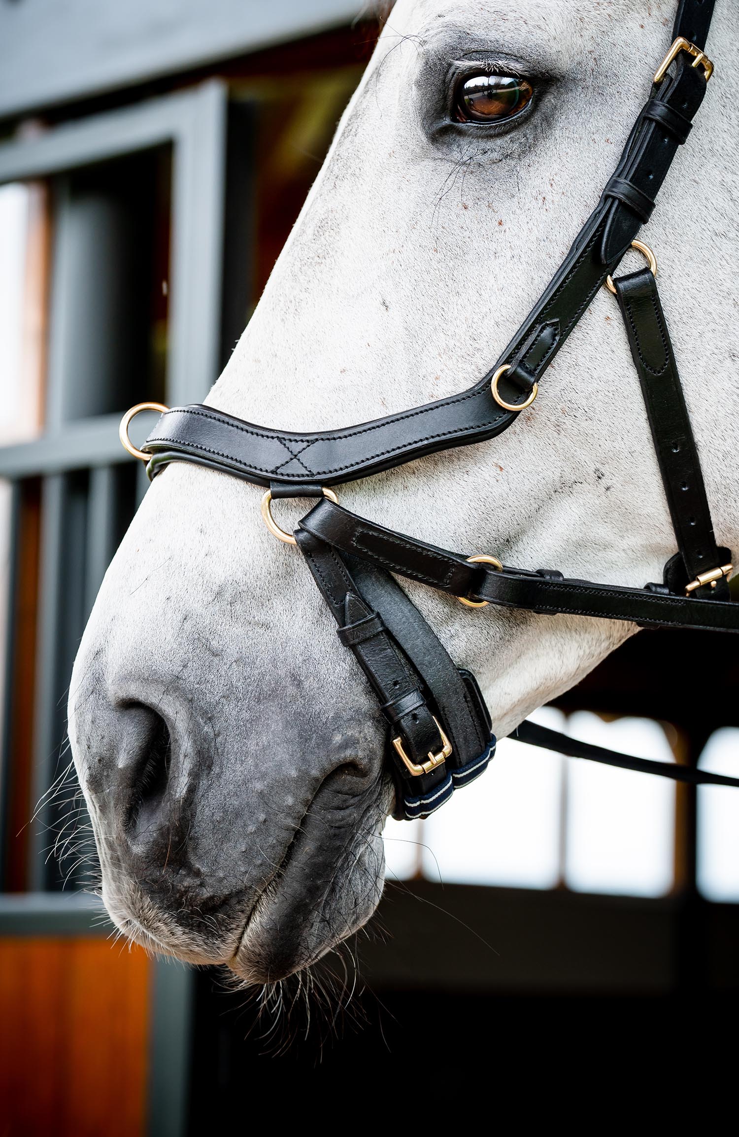 Horseware Micklem Multi Bridle-Bridles-Eland Lodge