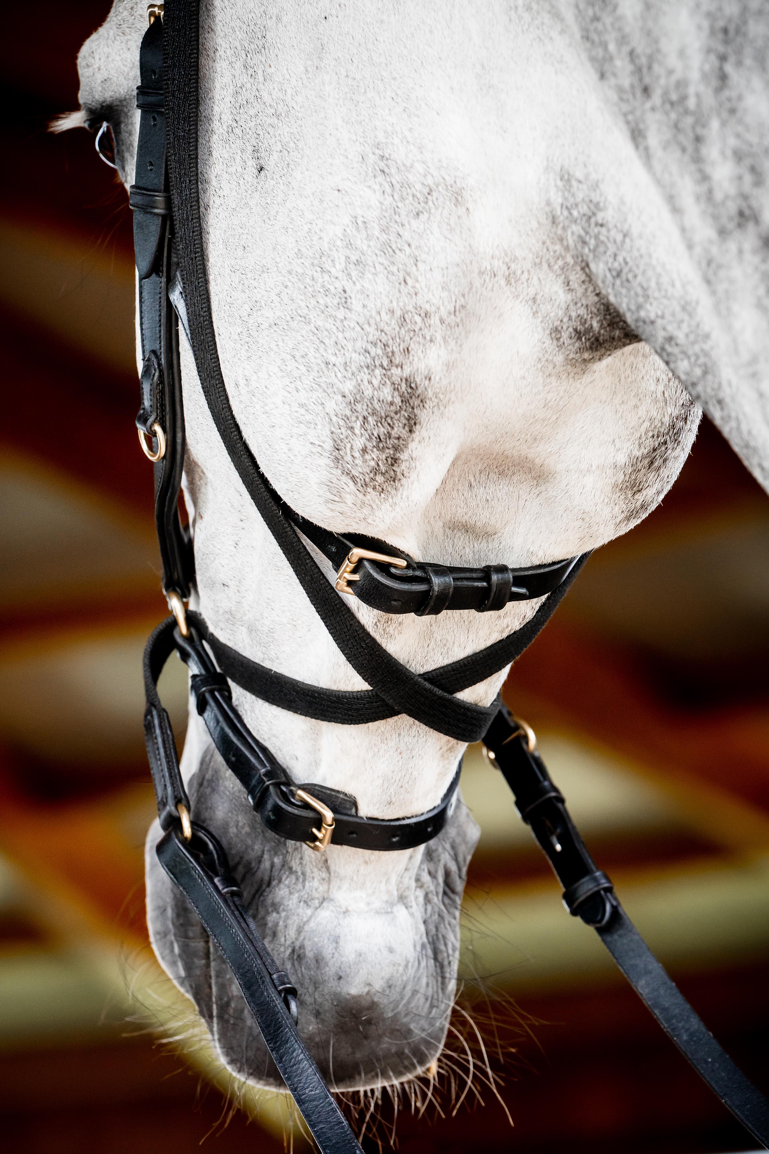 Horseware Micklem Multi Bridle-Bridles-Eland Lodge