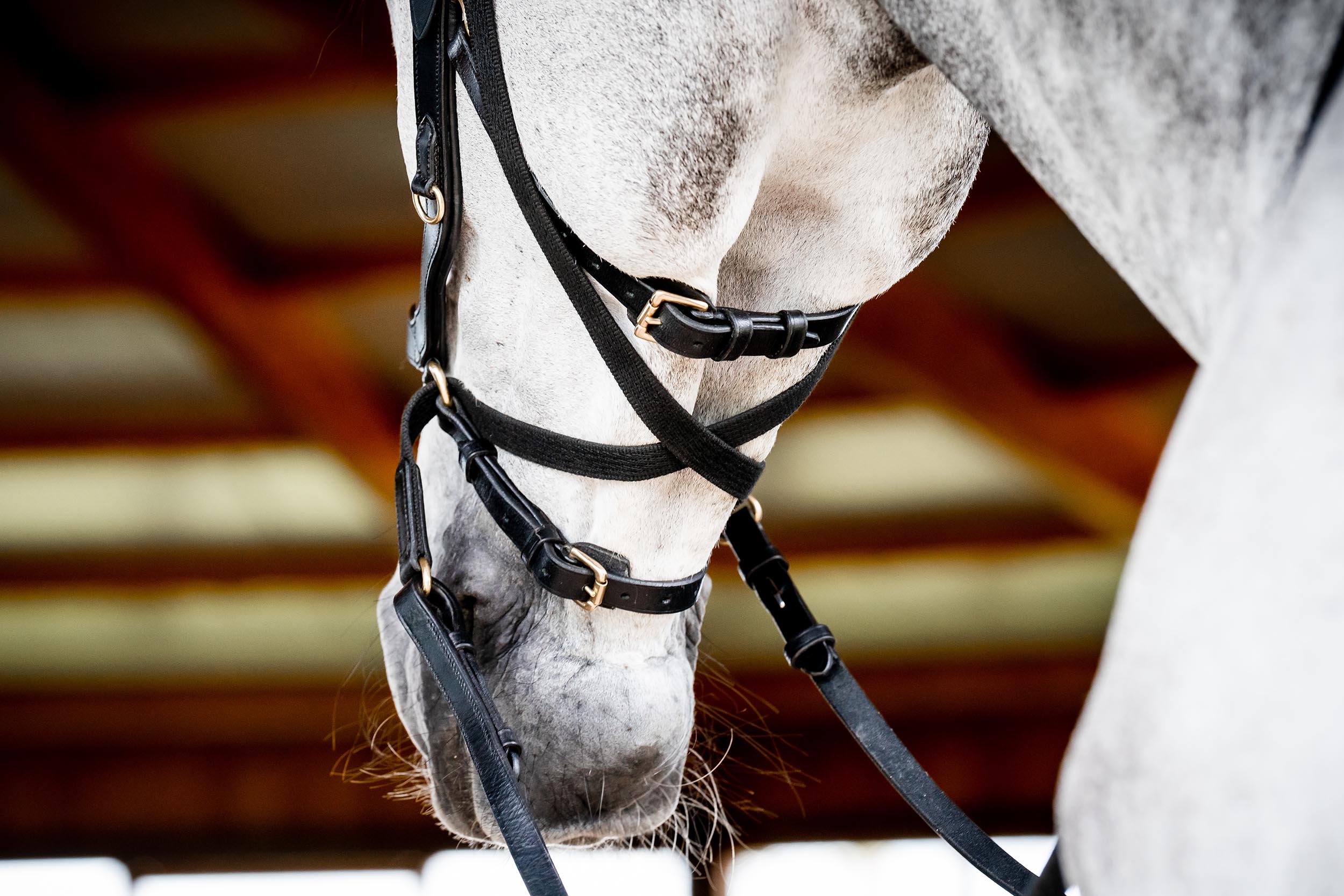 Horseware Micklem Multi Bridle-Bridles-Eland Lodge