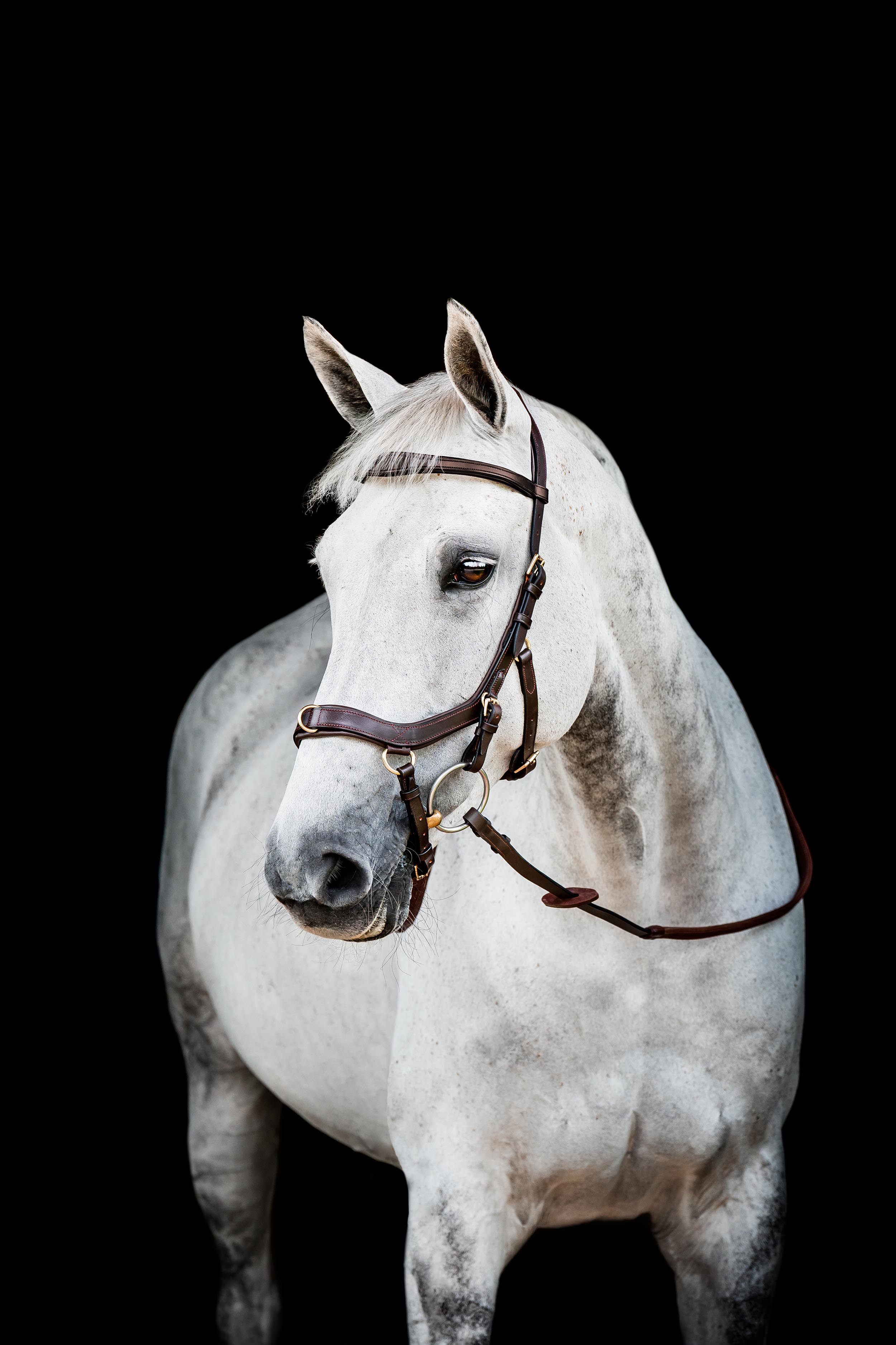 Horseware Micklem Multi Bridle-Bridles-Eland Lodge