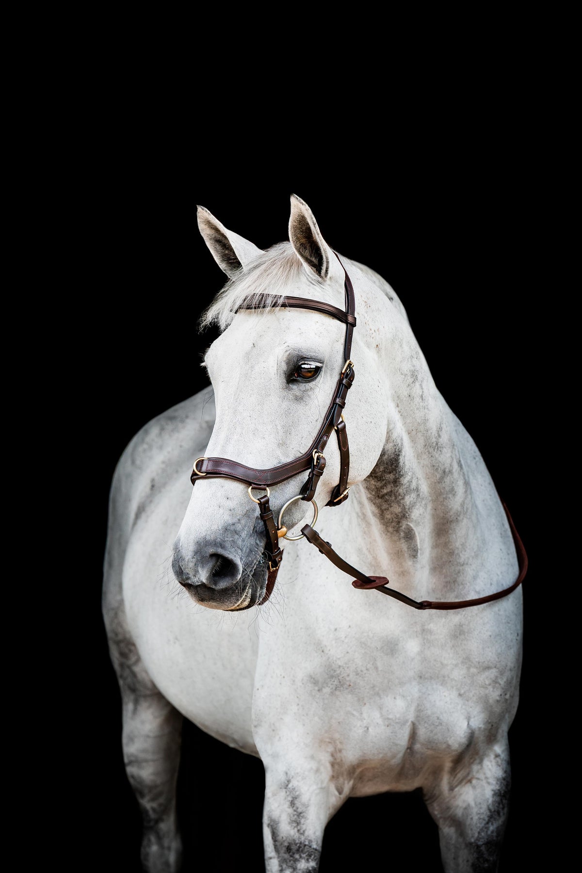 Horseware Micklem Multi Bridle-Bridles-Eland Lodge