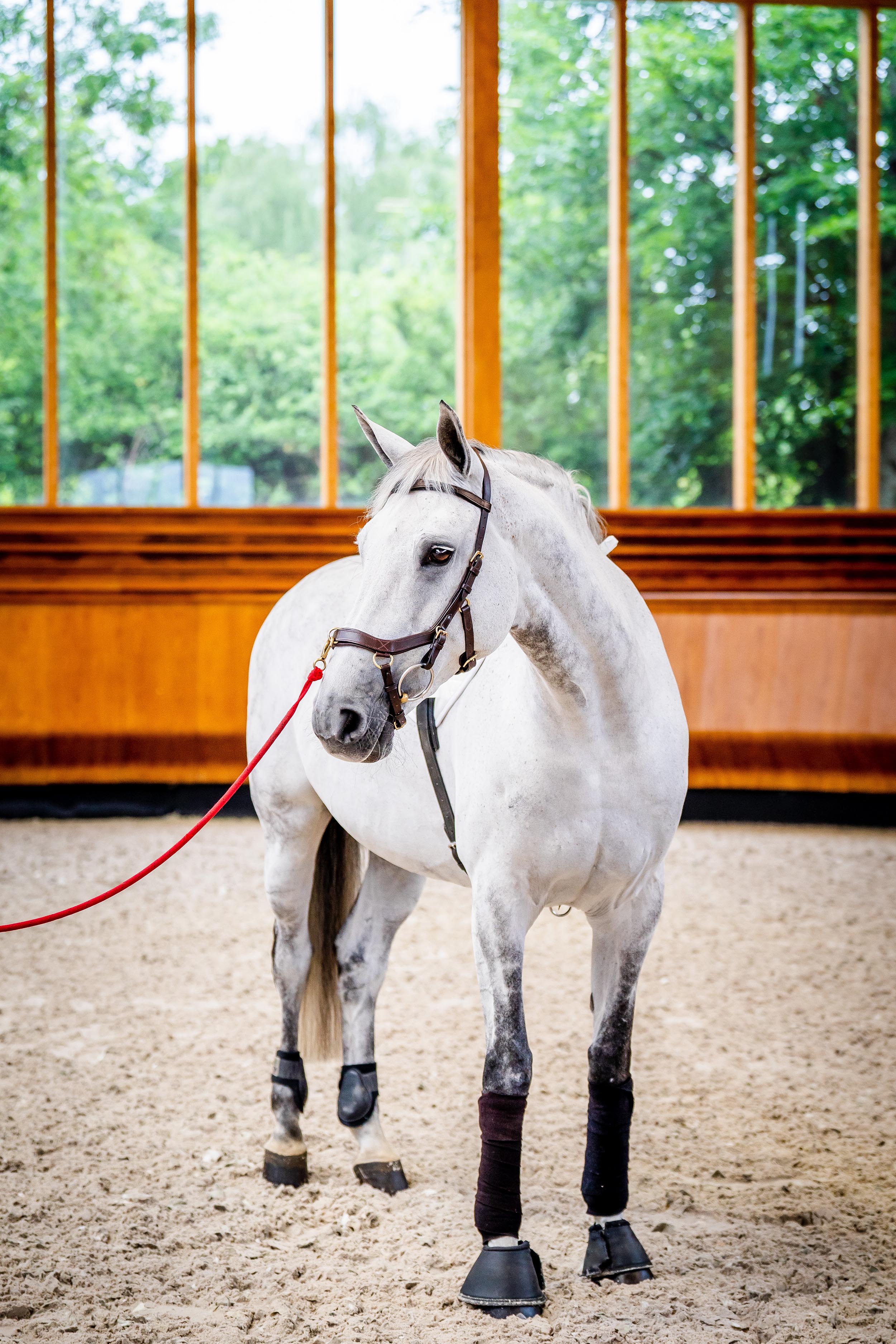 Horseware Micklem Multi Bridle-Bridles-Eland Lodge