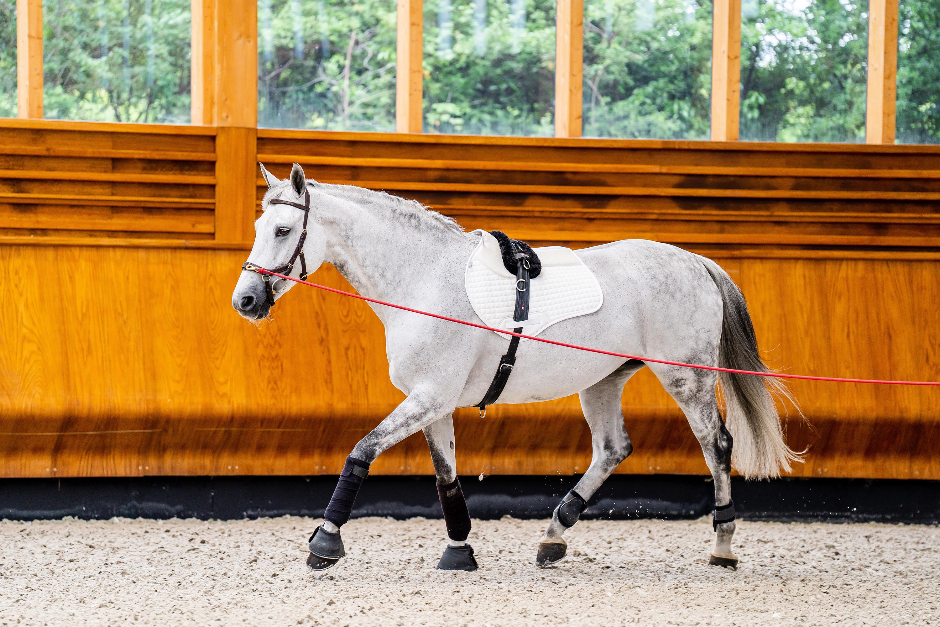 Horseware Micklem Multi Bridle-Bridles-Eland Lodge
