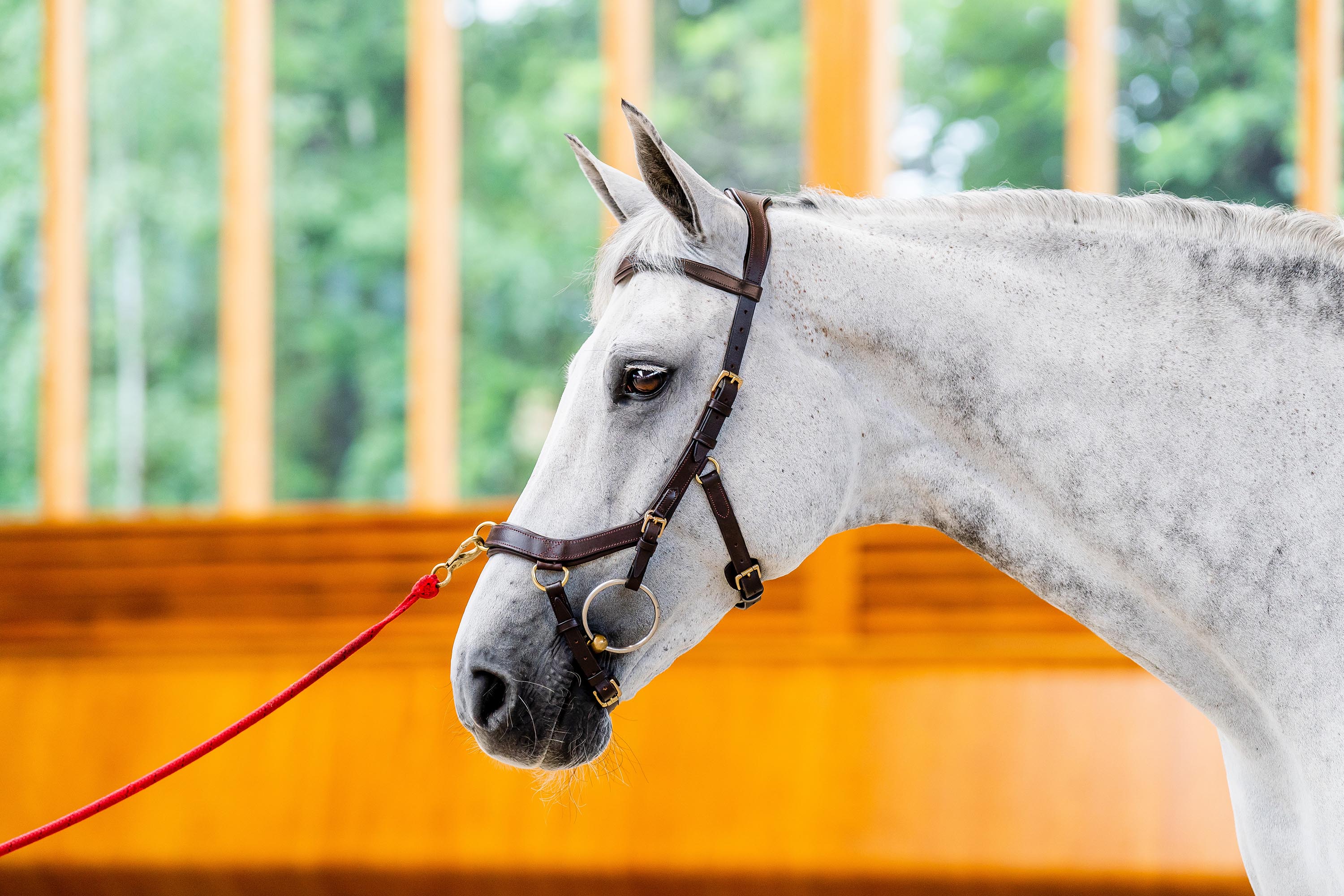 Horseware Micklem Multi Bridle-Bridles-Eland Lodge