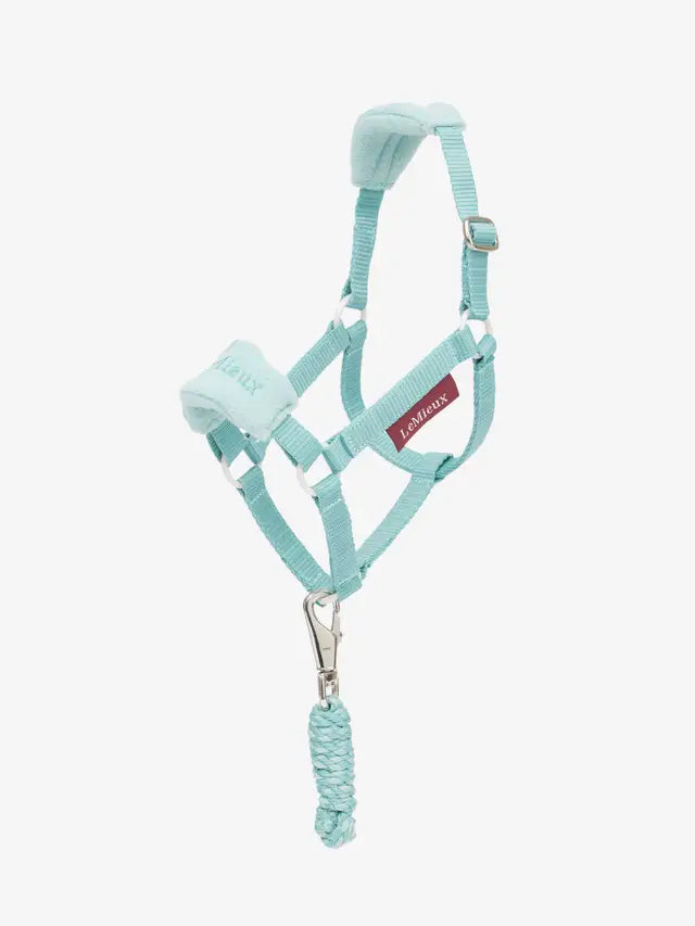 LeMieux Hobby Horse Vogue Headcollar