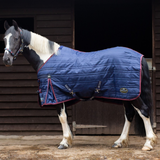 Horse wearing a blue quilted stable rug standing in front of a dark wooden stable.