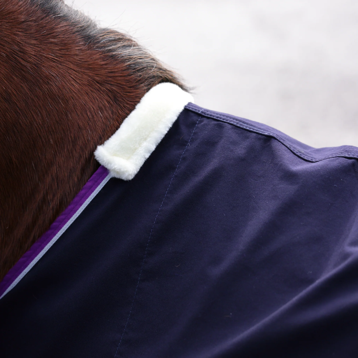 Navy blue horse rug with white trim on a horse