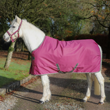 Horse wears pink stable rug with a natural background