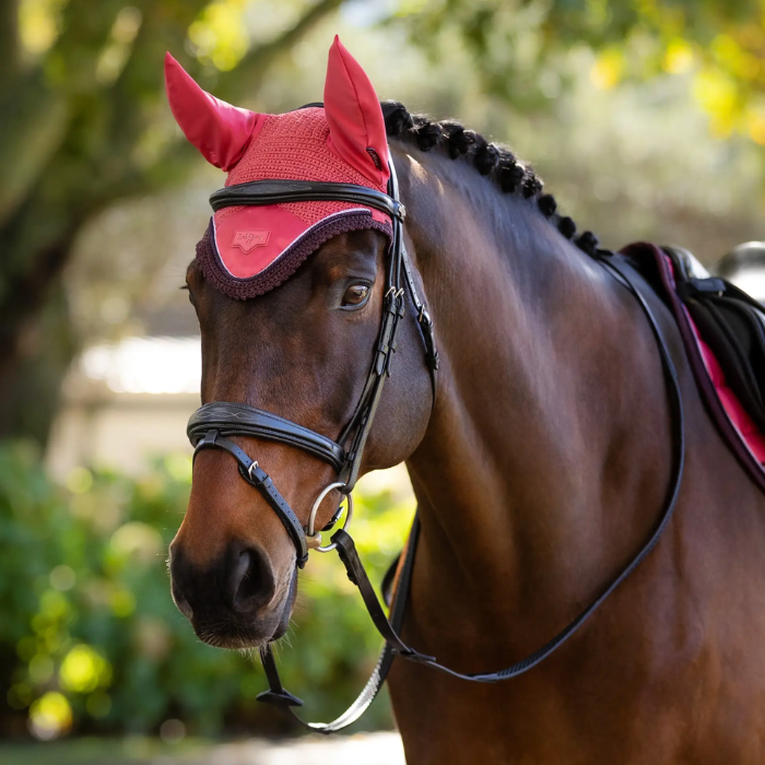 Horse wearing a red ear cover with a blurred natural background