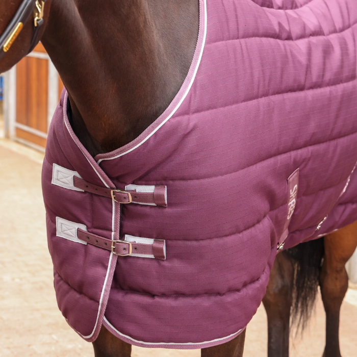 Close-up of a horse wearing a burgundy quilted stable rug with buckles.