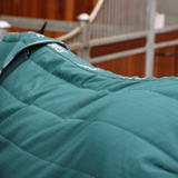 Tempest Original 200g Stable Rug With Neck in Emerald