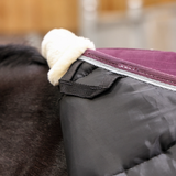 Close-up of a horse wearing a dark stable rug with a white trim and a burgundy border.