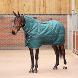 Tempest Original 200g Stable Rug With Neck in Emerald