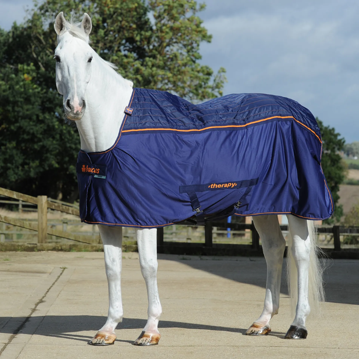 White horse wearing a blue rug with orange trim in an outdoor setting