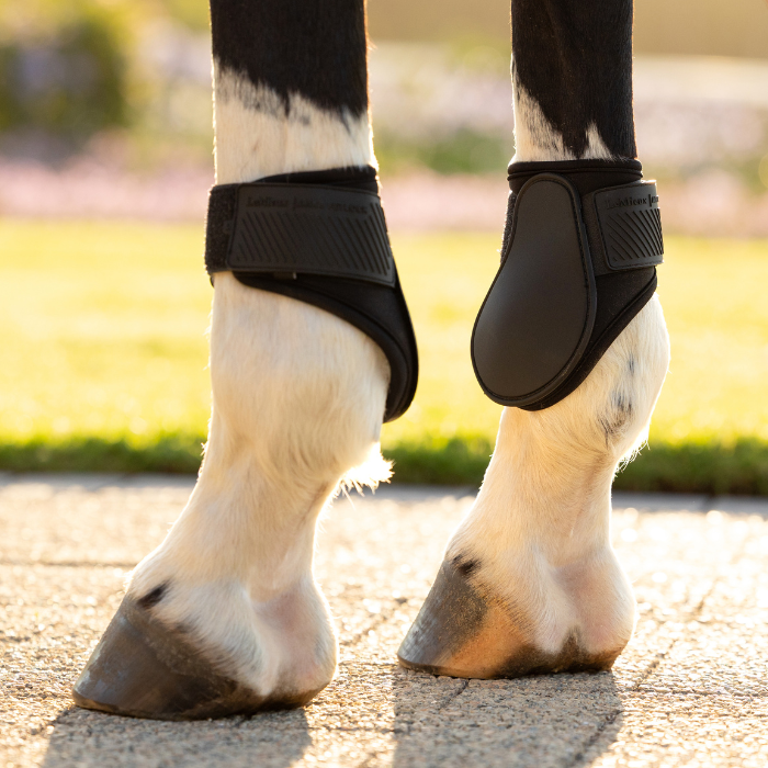 Horse legs wearing protective boots on a blurred outdoor background