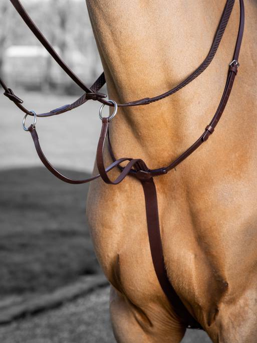 LeMieux Arika Running Martingale-Breastplates & Martingales-Eland Lodge
