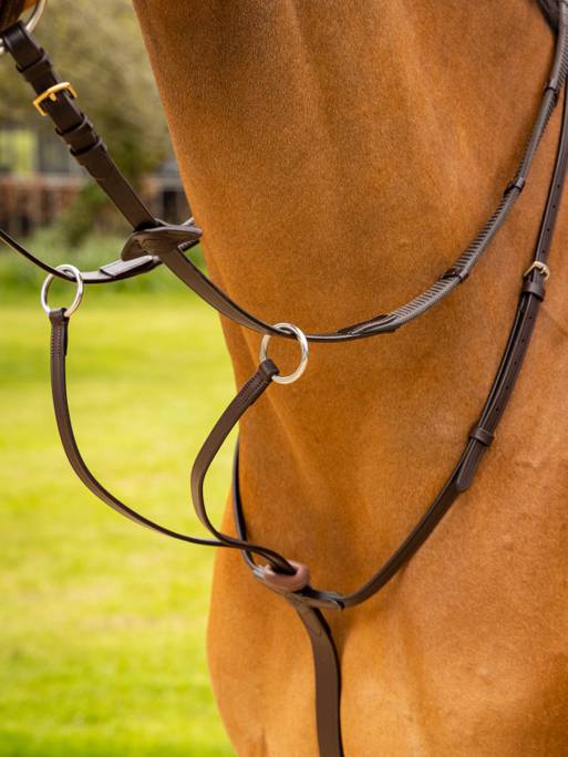 LeMieux Arika Running Martingale-Breastplates & Martingales-Eland Lodge