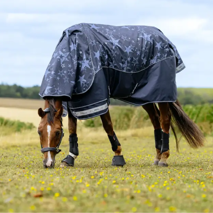 LeMieux Arika Star 0g Turnout Rug in Navy-Turnout Rugs-Eland Lodge