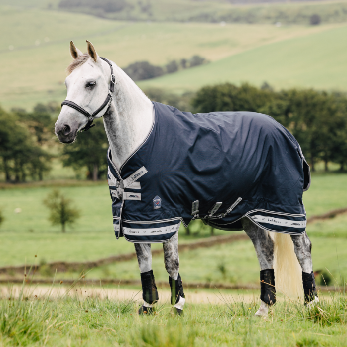 Horse wearing a navy blue rug in a grassy field with hills and trees in the background