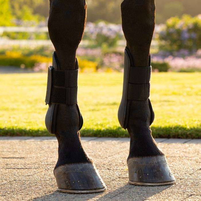 Horse wears a pair of black protective leg boots in an outdoor setting