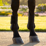 Horse wears a pair of black protective leg boots in an outdoor setting