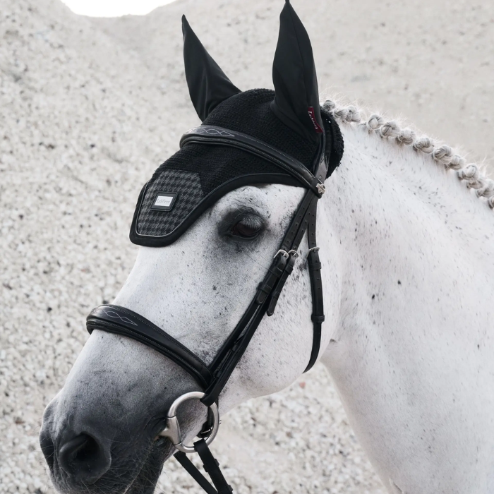 White horse wearing a black bridle and ear cover on a light grey background