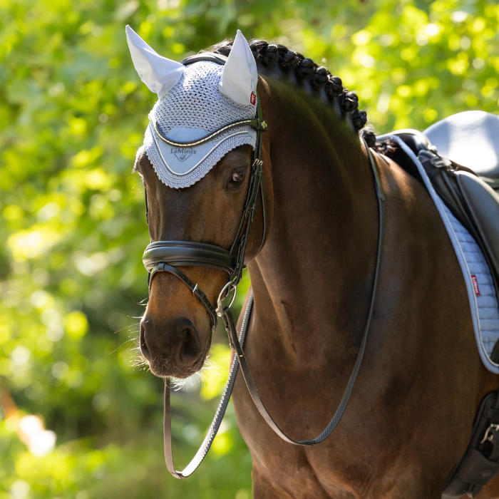 LeMieux Classic Fly Hood - Spring 2026-Fly Masks & Veils-Eland Lodge