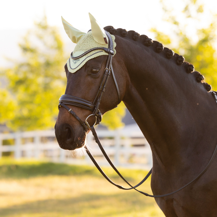LeMieux Classic Fly Hood - Spring 2026-Fly Masks & Veils-Eland Lodge
