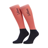 LeMieux Competition Socks 2 Pack - Autumn 2025